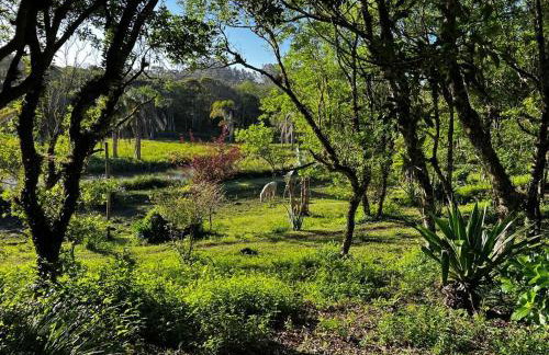 Cabana do Lago- Morro da Borússia - Foto 40