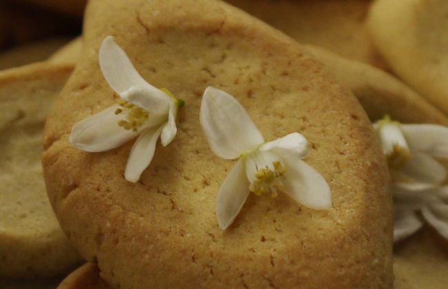 Visite gastronomique dans Marseille - Photo 1