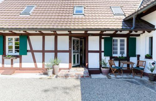 Privat Apartment- Near Strasbourg, Baden Baden - Foto 44