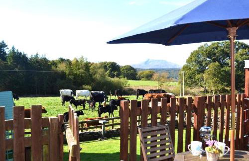 Siabod, Betws y Coed, Snowdonia 2 en-suite bedrooms - Foto 15