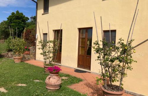 Agriturismo Cima alla Serra - Foto 40