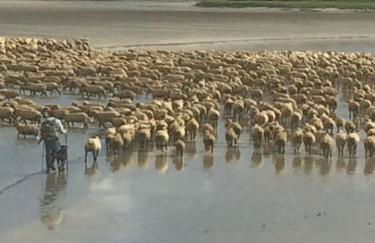 AUTHENTIQUE MAISON DE PECHEUR ENTRE-TERRE & MER Avec Un POÊLE À BOIS A Disposition - Foto 46