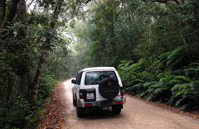 Chalet 40 Entire House Tranquil and Family-friendly Location - Photo 26