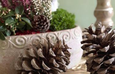 La Posada del Pueblo - Foto 52