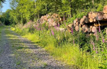 Gittas Paradiesperle - Foto 36