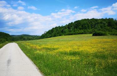 Naša mala koliba - Foto 14