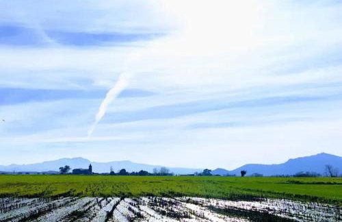 El Pinar de Arna - Photo 61