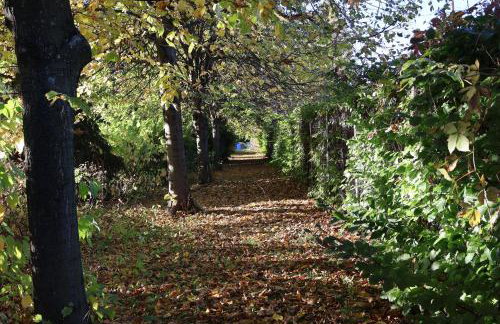 Rezydencja Pod Platanem - Photo 67