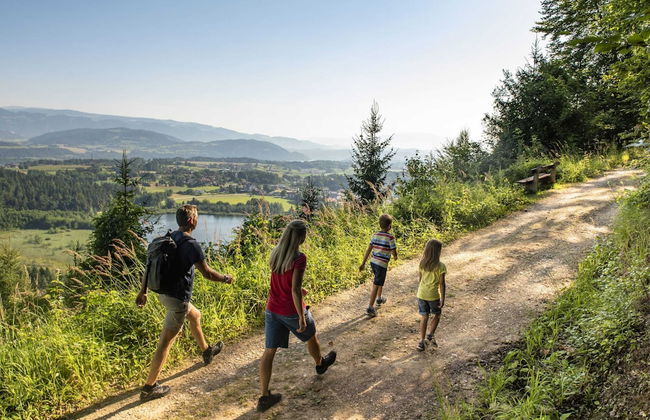 Lush Apartment in Sankt Michael ob Bleiburg - Photo 79
