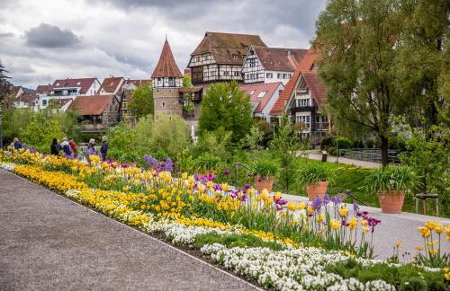 Ferienwohnung Elefanten - Photo 11