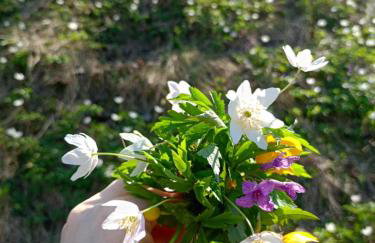 Agroturystyka u Chlebków - Photo 9
