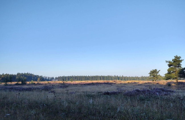 5 Star Holiday Home in Hovborg - Foto 25