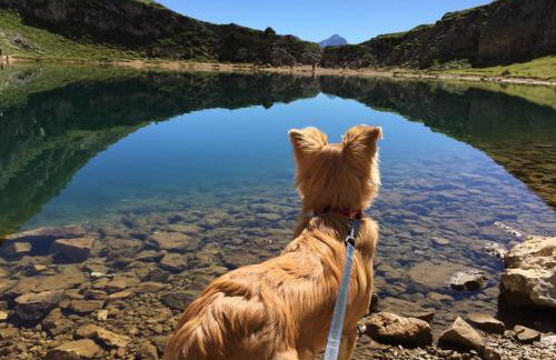 Residence Ciasa Dl Mone - Foto 13