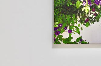 Casa Lusíadas - Foto 31