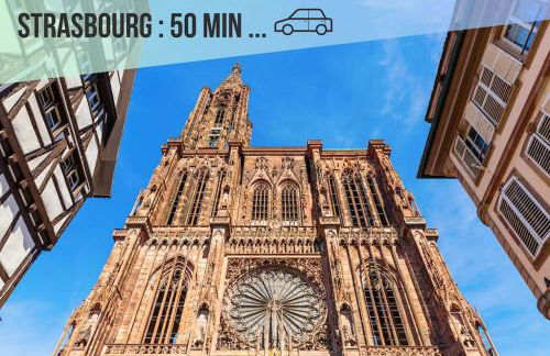 Le jardin secret - Colmar - WIFI - Foto 33