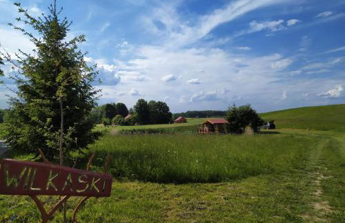 #MazuryWildLife - Foto 18