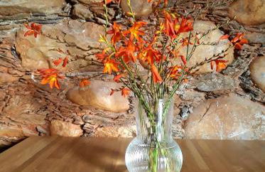 Casa da Ti Adélia - Foto 6