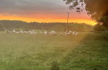 Sunset Cottage - Foto 7