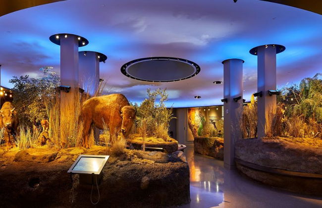 Go City - San Antonio Explorer Pass - Zugang zu bis zu 5 Attraktionen - Foto 2