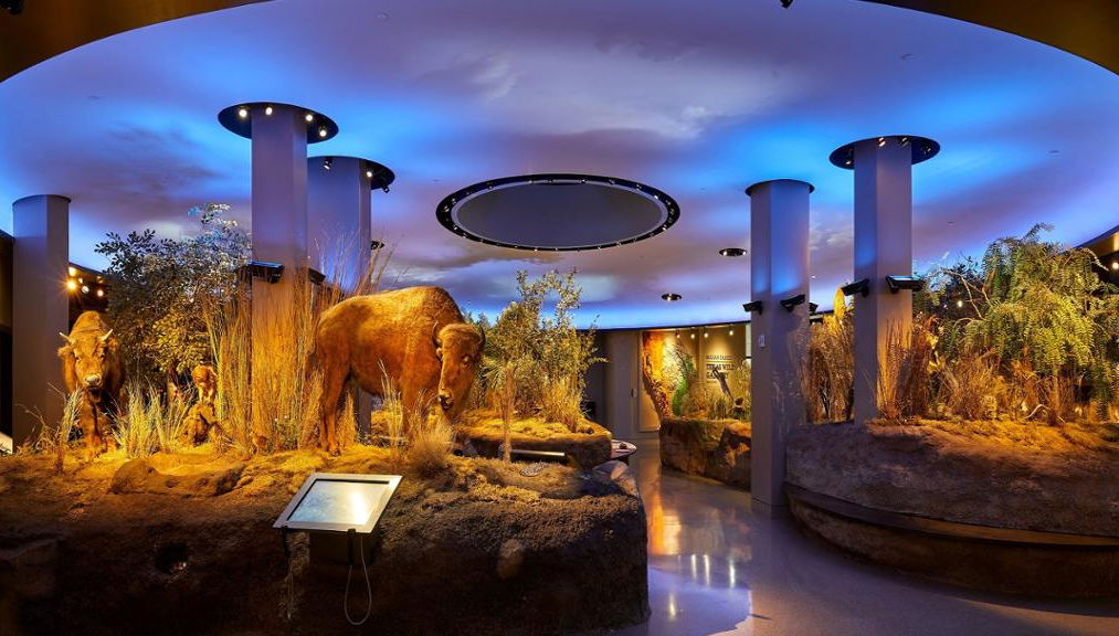 Go City - San Antonio Explorer Pass - Accès à 5 attractions maximum - Photo 2