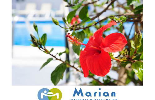 Apartamentos Marian - Foto 24