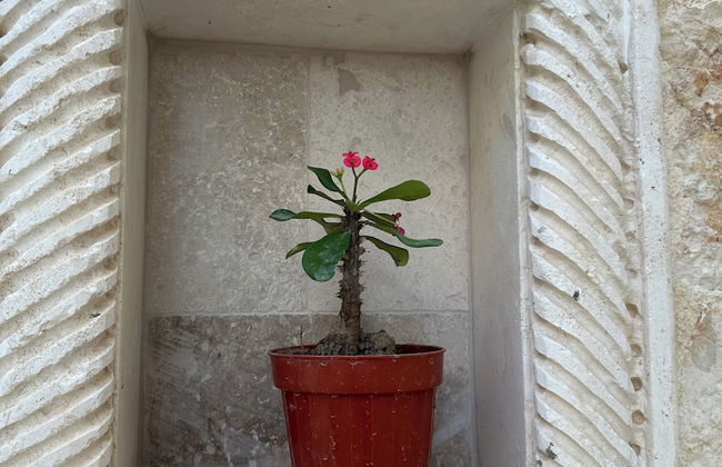 Villa Umay - Foto 28