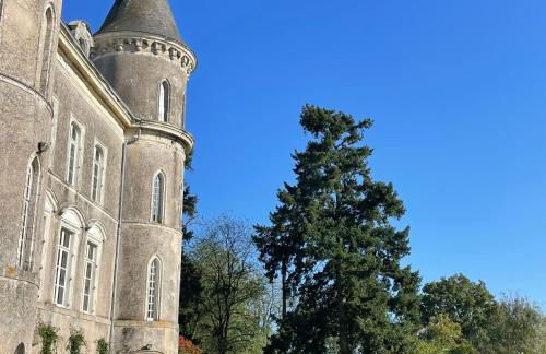 Château Doré les Tours - Appartement Loup - Proche Puy du Fou - Photo 36