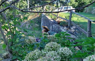 All ' ombra del lauro - Foto 8