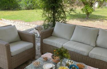 Hacienda Don Rodrigo - Foto 14