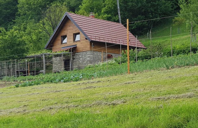 The Cabin At St. Donat's - Foto 19