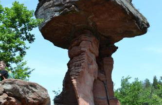 Zauber der Pfalz - Foto 62