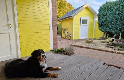 Schwedenhaus Hyggeline direkt an der Ems - Foto 10