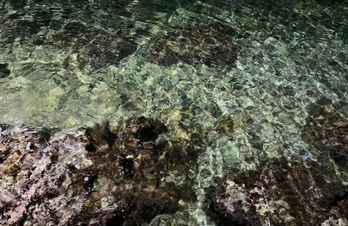 AFISSOS-DREAM 3STUDIOS - Photo 24