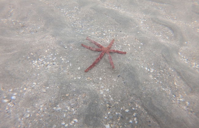 Chalés Village Gales - Foto 32