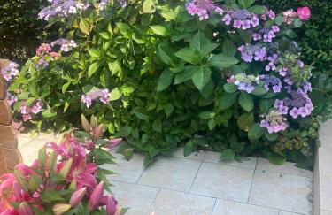 les Albatros - Foto 22