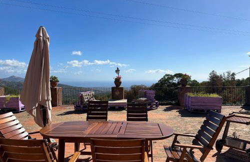 Tenuta Reganati - Foto 43