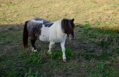 Ferienwohnung-zum-Kueppchen - Foto 13