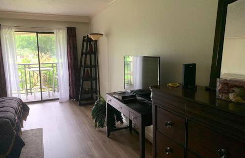 GolfView Executive Suite Near Tampa - Foto 14