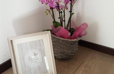 Masetto Egidio Eco-Agritur - Foto 100