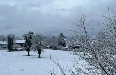 Gemütlich*Stylisch*Netflix*Blick ins Grüne* - Foto 58
