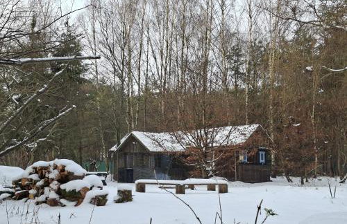 Dom Pod Brzozami Lipinki Bory Tucholskie basen - psy, koty mile widziane! - Photo 46