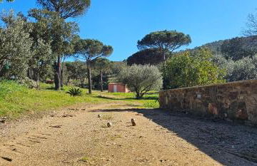 Maison calme au cœur des vignes - Foto 34