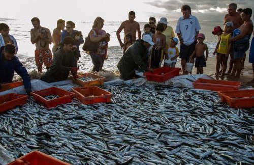 BestHomeStay- Caparica Beach Lisbon - Photo 64
