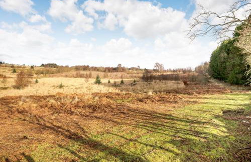 Hawthorn Lodge - Uk42546 - Photo 20