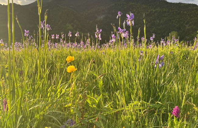 Lush Apartment in Tyrol With Sauna - Foto 14
