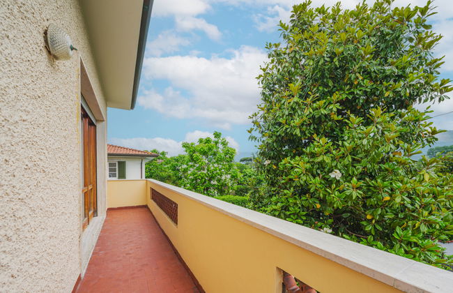 Maria Luisa - Foto 15