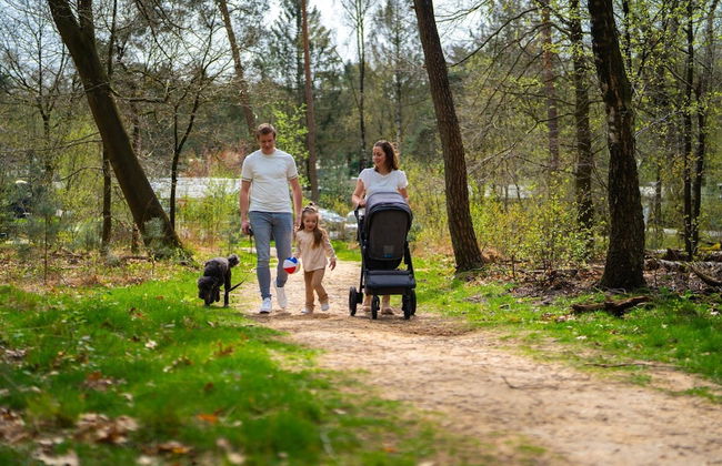 Modern Holiday Home With Decorative Fireplace - Foto 14