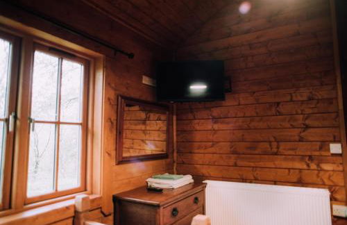 Bothy Cabin -Log cabin in wales - with hot tub - Foto 16