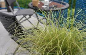 Berlin-Oase - schnuckelige Ferienwohnung an der Grenze zu Berlin - Foto 23