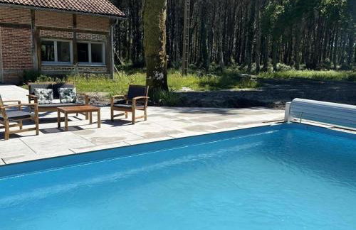 La resiniere - Photo 13